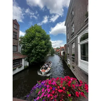 Tours & Travel Consultation